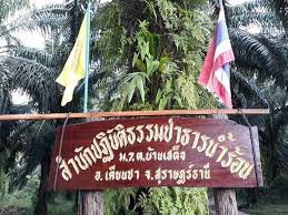 ประวัติความเป็นมา