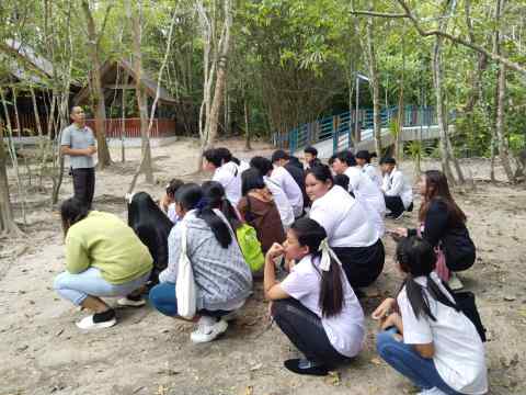การอนุรักษ์และการพัฒนา