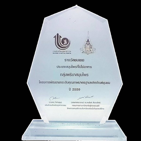 รูปภาพที่ 4