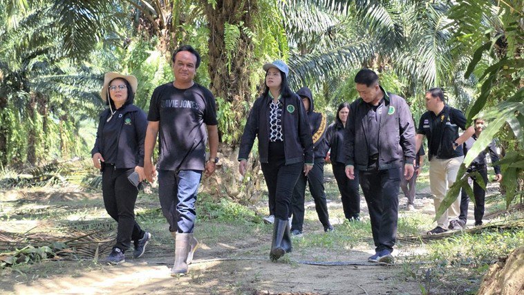 รูปภาพที่ 3