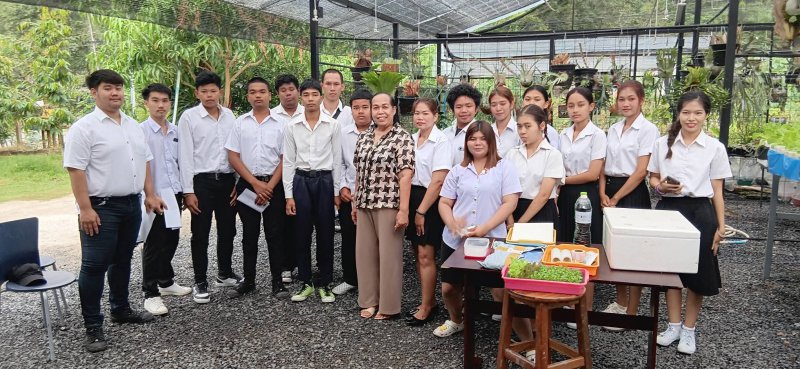 รูปภาพที่ 4