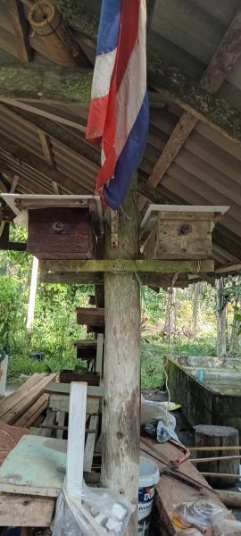 รูปภาพที่ 4