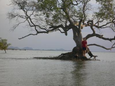 รูปภาพที่ 3
