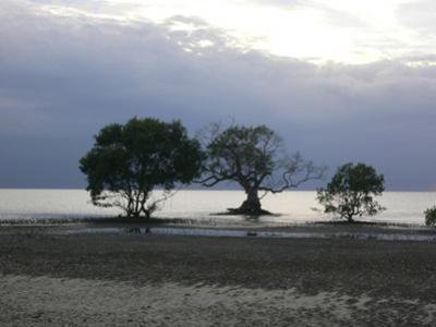 รูปภาพที่ 4