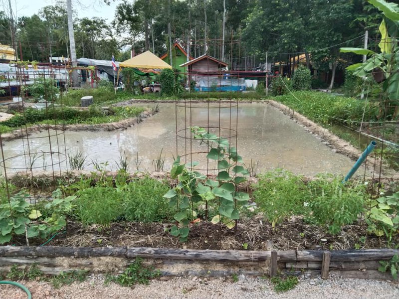 รูปภาพที่ 3