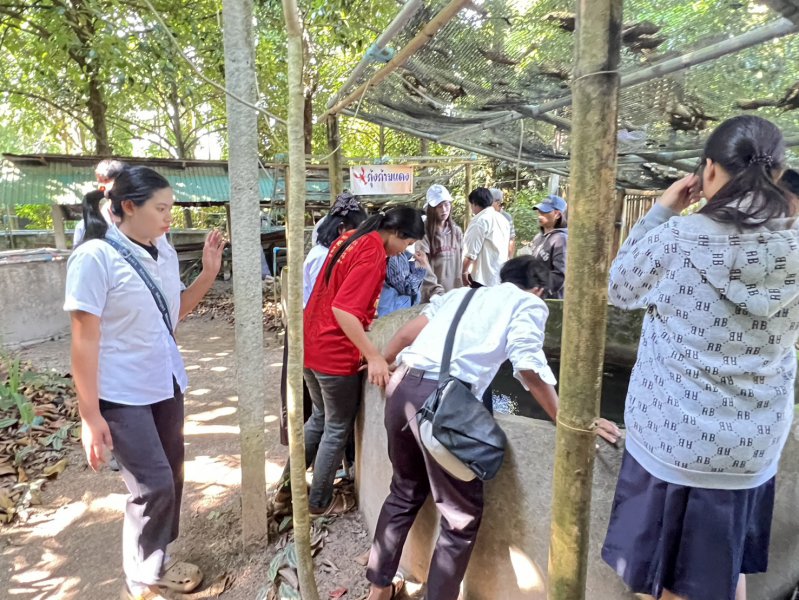 รูปภาพที่ 3