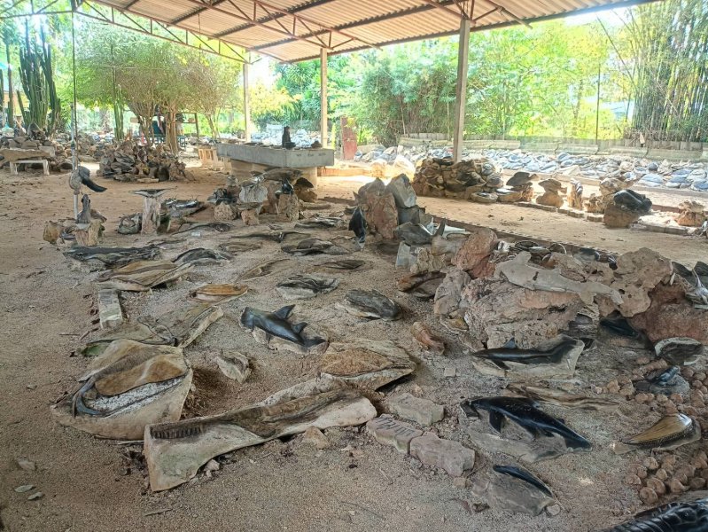 รูปภาพที่ 4