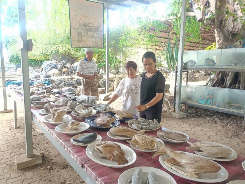 รูปภาพที่ 5