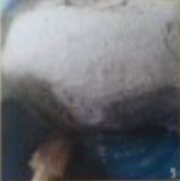 รูปภาพที่ 3