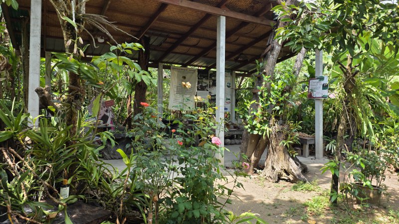 รูปภาพที่ 5