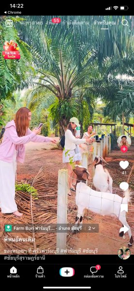 รูปภาพที่ 5