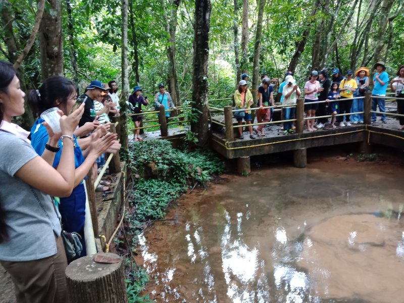 รูปภาพที่ 5