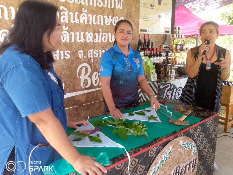 รูปภาพที่ 3