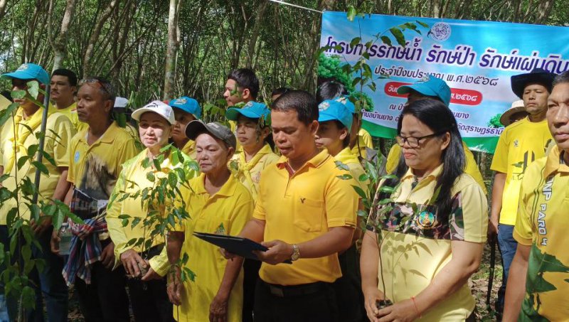 รูปภาพที่ 4