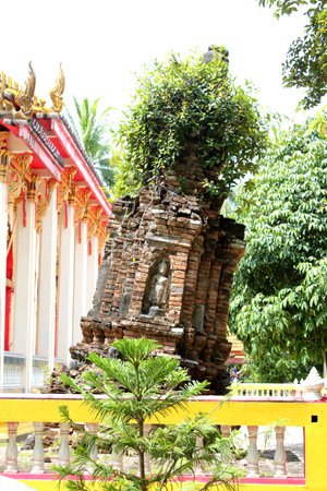 รูปภาพที่ 4