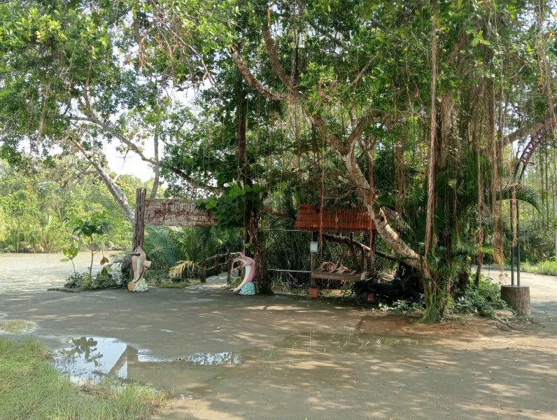 รูปภาพที่ 6