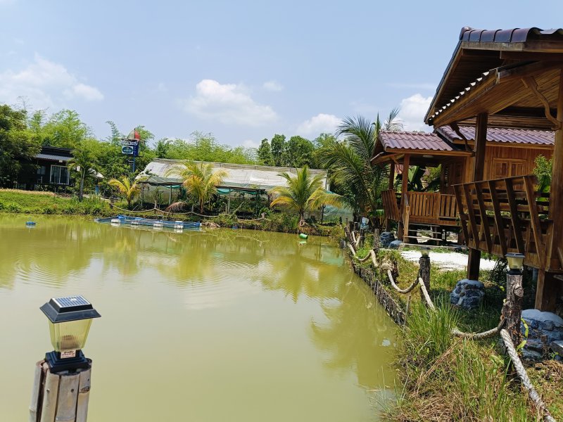 รูปภาพที่ 5