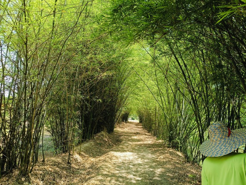 รูปภาพที่ 6