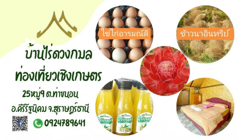 รูปภาพที่ 2