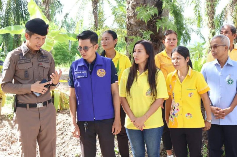 รูปภาพที่ 6