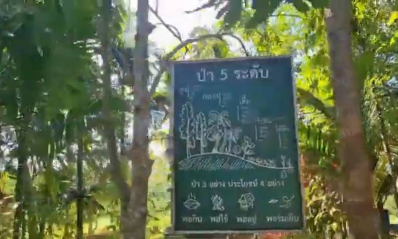 รูปภาพที่ 5
