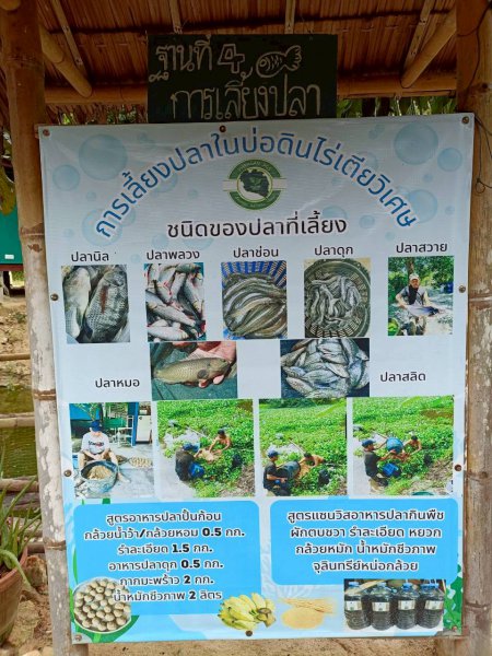 รูปภาพที่ 4