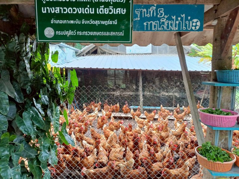 รูปภาพที่ 5