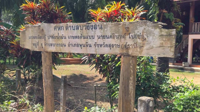 รูปภาพที่ 4