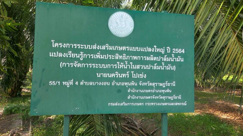 รูปภาพที่ 6