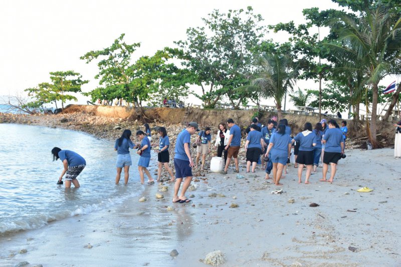 รูปภาพที่ 4