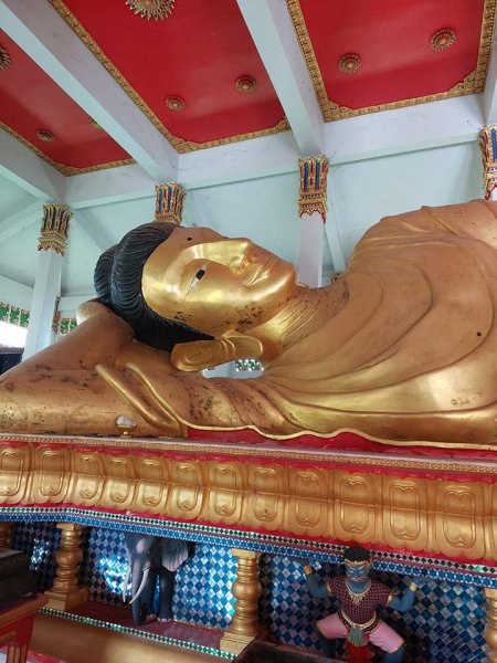 รูปภาพที่ 2