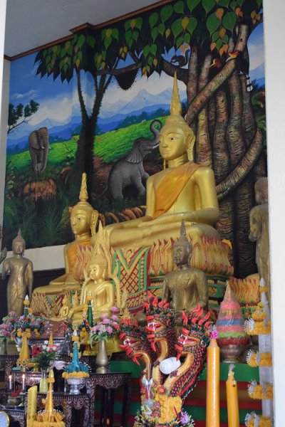 รูปภาพที่ 5