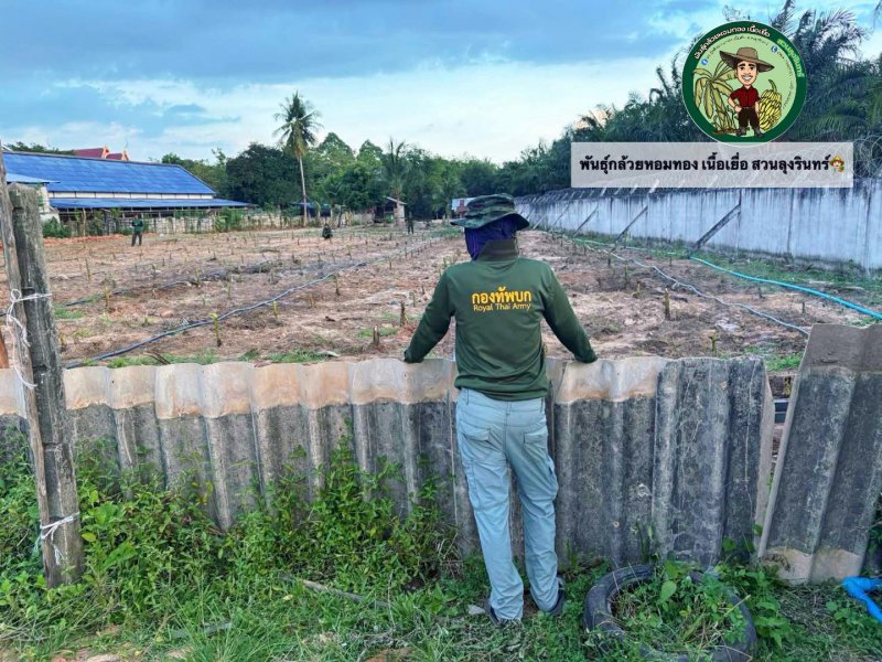 รูปภาพที่ 2